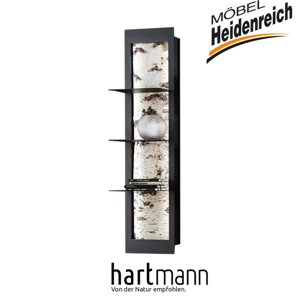 Hartmann Möbel Alva - Regalelement 3110W-8031 inkl. Beleuchtung
